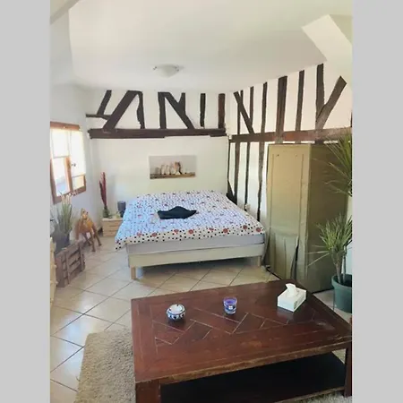 Apartament Joli Petit Studio En Plein Coeur Centre Ville *